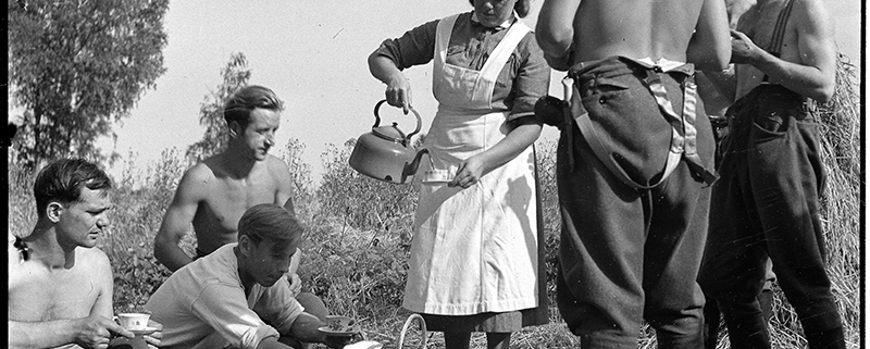 Mustavalkoisessa kuvassa miehiä pellolla kahvitauolla. Keskellä lotta kaataa kahvia pannusta kuppiin.