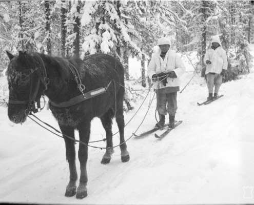 Kuvassa sotilaita suksilla hevosen perässä.