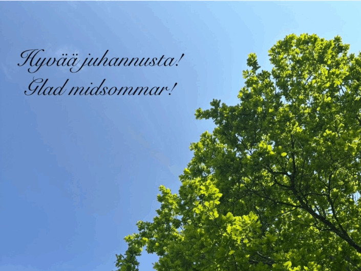 Juhannus_leikattu