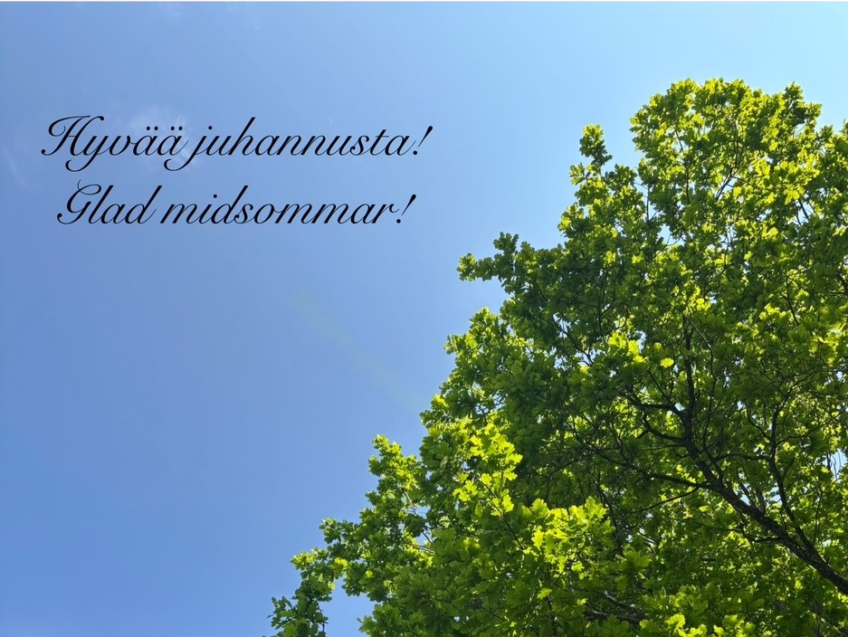 Juhannus_leikattu
